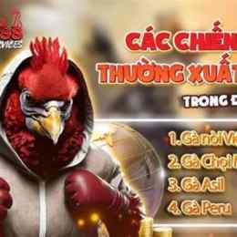 đá gà c2 ngày 15