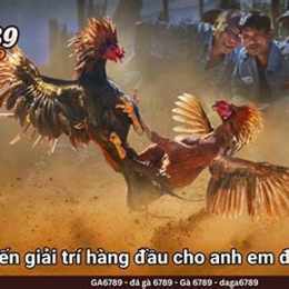 đá gà c3 c2