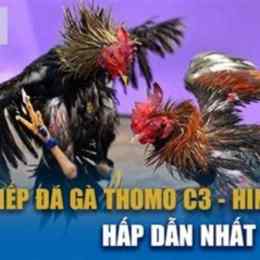 đá gà c3 ngày 17 tháng 7 năm 2024