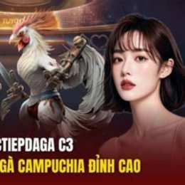 đá gà c3 trận 31