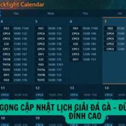 đá gà c3 trận 54 ngày 27 tháng 5