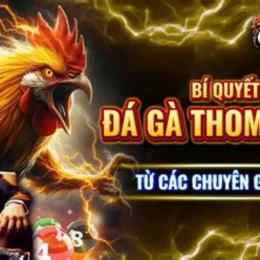 da ga c5 truc tiep