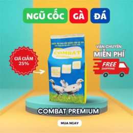 đá gà cam tháng 7