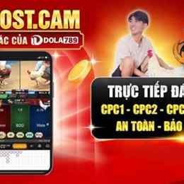 đá gà cam trang 67