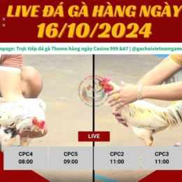 đa ga cam67