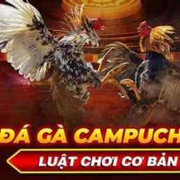 đá gà campuchia ee88 https://aroundthe.net/