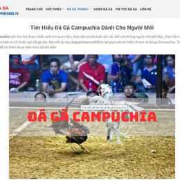 đá gà campuchia ngày 16 tháng 10