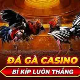 đá gà casino 888