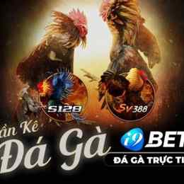 đá gà casino mới nhất