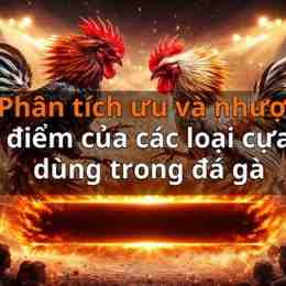 đá gà choi