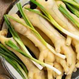 da gà có collagen không