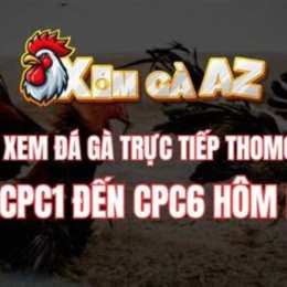 đá gà cpc6 hôm nay