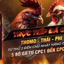đá gà cựa dao 88 trực tiếp