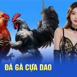 da ga cua dao 88