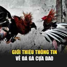da ga cua dao go