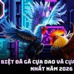 da ga cua dao hay nhat