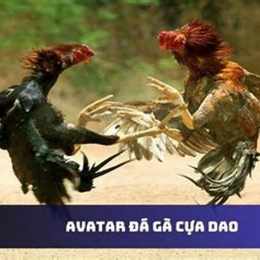 da ga cua dao lk1