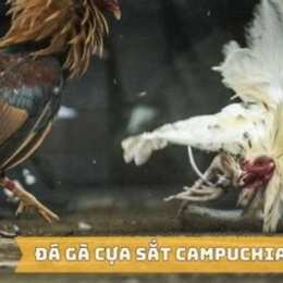 da ga cua sat 2023