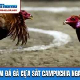 da ga cua sat truc tiep