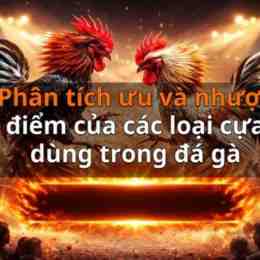 đá gà đá