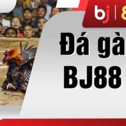 đá gà e2 bet