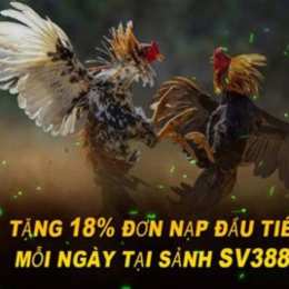 đá gà e2bet com vn