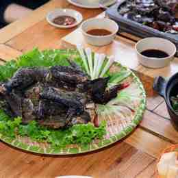 đá gà gà đen chẩm com