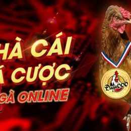 da ga ga truc tiep