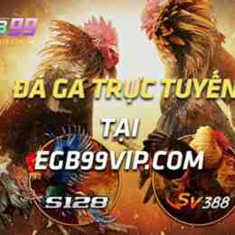 đá gà ga28