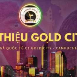 đá gà gold city
