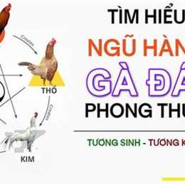 đa ga homnay