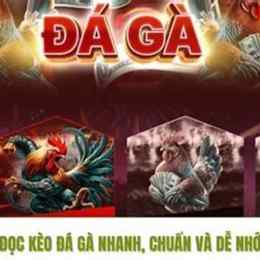 da ga jb88