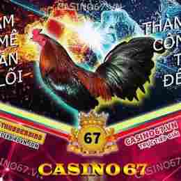 đá gà kênh 79