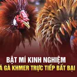 đá gà khmer trực tiếp hôm nay
