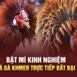 đá gà khmer trực tiếp