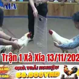 đá gà kiểm cà mau