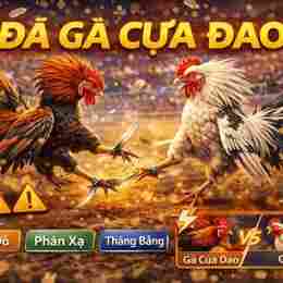 đá gà kubet
