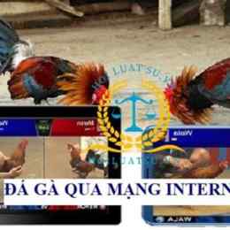 đá gà mạng 67