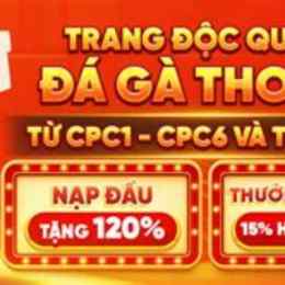 đá gà mạng thomo