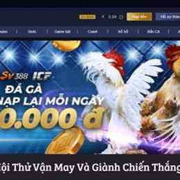 đa gà mcw