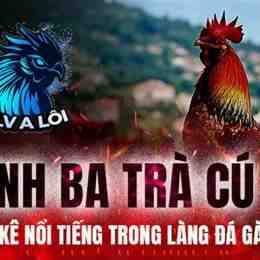 đá gà miền tây mới nhất