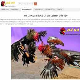 da ga moi nhat