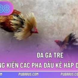 da ga mot bai
