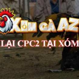 đá gà phát lại c2