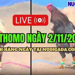 đá gà phát lại hôm nay c3
