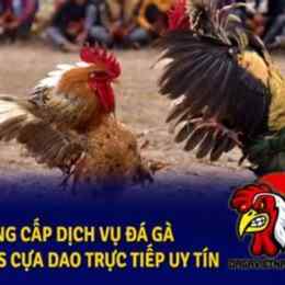 đá gà philippines trực tiếp