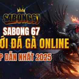 đá gà sabong 67 cam