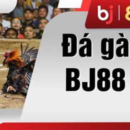 đá gà spa