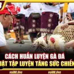 đá gà tập 1