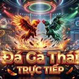 da ga thai truc tiep
